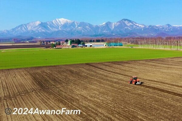 春を迎えた北海道十勝で今年の農作業が開始！最高の天気の広大な土地をトラクターが耕す　サムネイル