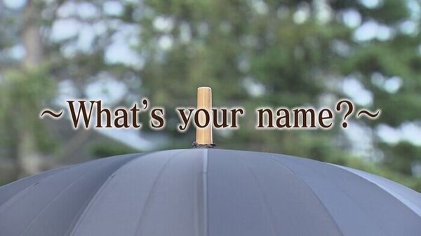 「キミの名は」傘の先っぽの名前知っていますか？　サムネイル