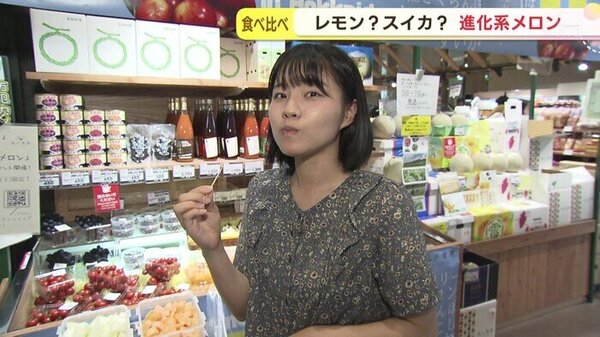 進化系メロンとは？甘いだけじゃない！さわやかな味にファンも急増！？　サムネイル