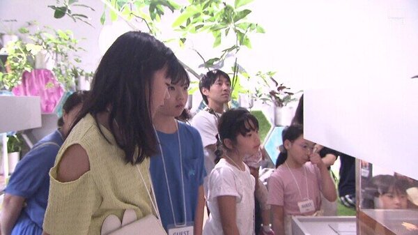 夏休み！生き物について学ぼう！札幌で人気のイベント　サムネイル