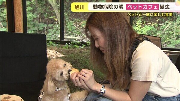 動物病院併設のペットカフェ　飼い主とペット 同じ食事も楽しめる　サムネイル