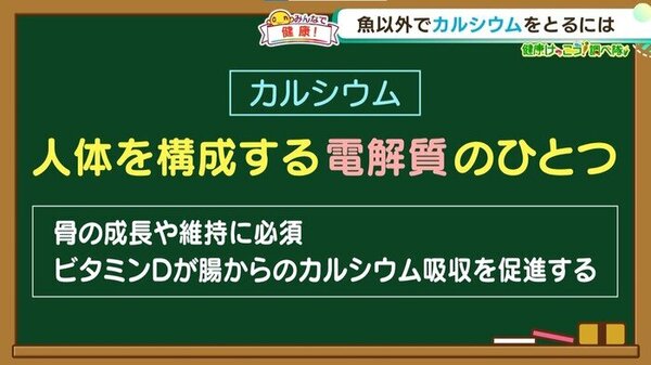 カルシウムを効率よく摂るためのポイントは？  | HTB「イチモニ！」健康けっこう！調べ隊　サムネイル