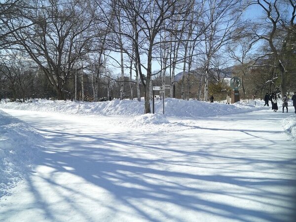 真っ白な雪のキャンバスに木の影のアート探し　札幌・中島公園でカメラさんぽ　サムネイル