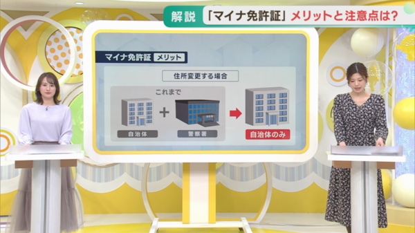 〝マイナ免許証〟あなたは２枚持ち？一本化？　時期によっては注意が必要な場合も！　サムネイル