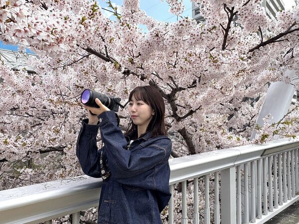 札幌には桜の名所がいっぱい！市内各地で桜さんぽ　桜吹雪が風に舞う　サムネイル