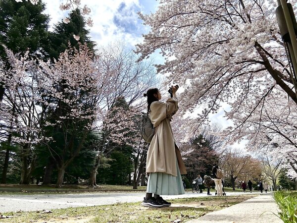 テーマは『情景の中の桜』北海道に桜の季節が到来！札幌の中島公園で撮影して〝なんだかいい感じ〟　サムネイル