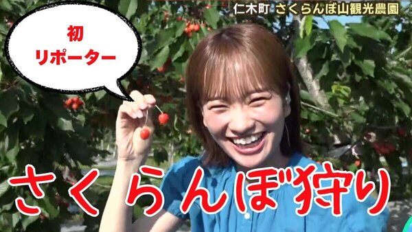 「夏見っけ！中継」仁木町で旬のさくらんぼ狩り！時間無制限＆食べ放題の楽園　もえりが初中継リポーターで大奮闘！　サムネイル