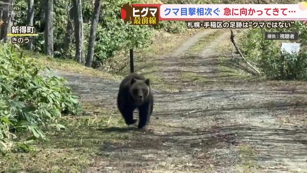 【衝撃の瞬間】「正直、怖かった」林道でヒグマが突如Ｕターン！車に向かって猛ダッシュする戦慄の一部始終　サムネイル