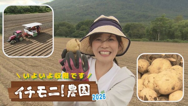 【イチモニ！農園】いよいよじゃがいも収穫へ！絶品フライドポテトのソース開発に下國シェフ参戦　サムネイル