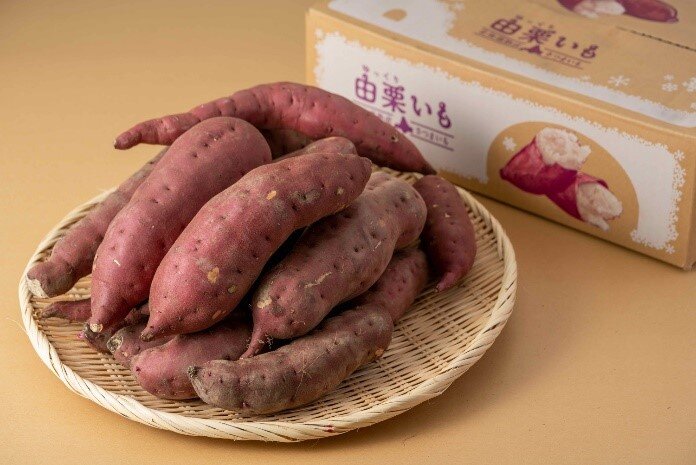 SODANE - 北海道でもさつまいもとれるのをご存じですか？ 「由栗