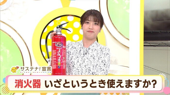 SODANE - 消火器の使い方、自信ある!? もしもに備えて準備したい消火器