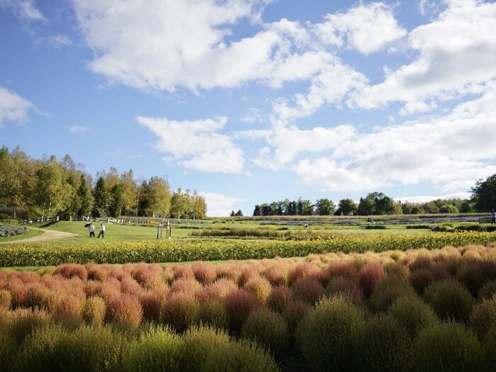 確認専用　春・夏・秋の野草 Field Selection 北隆館 2025年4月6日【関東地区イベント】野草研究家 山下智道先生と行く