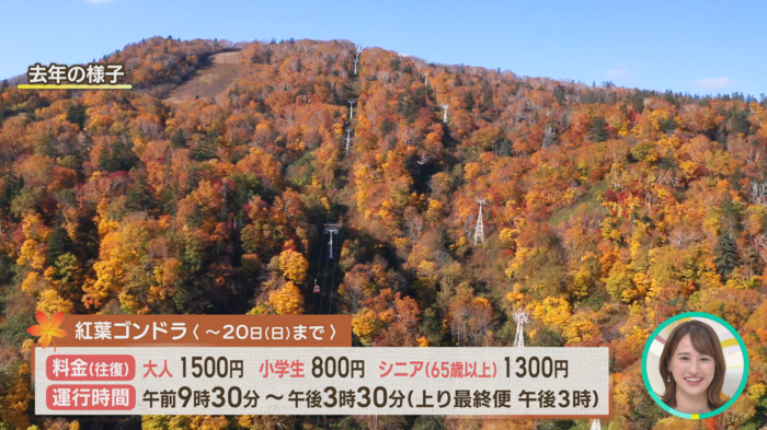 去年の紅葉ゴンドラ.png