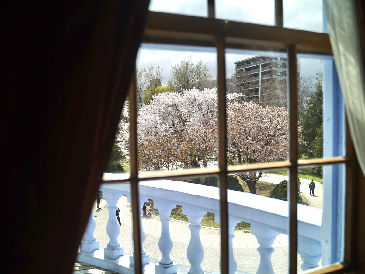 中島公園桜⑧.JPG
