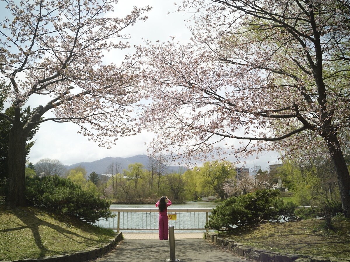 中島公園桜③.JPG