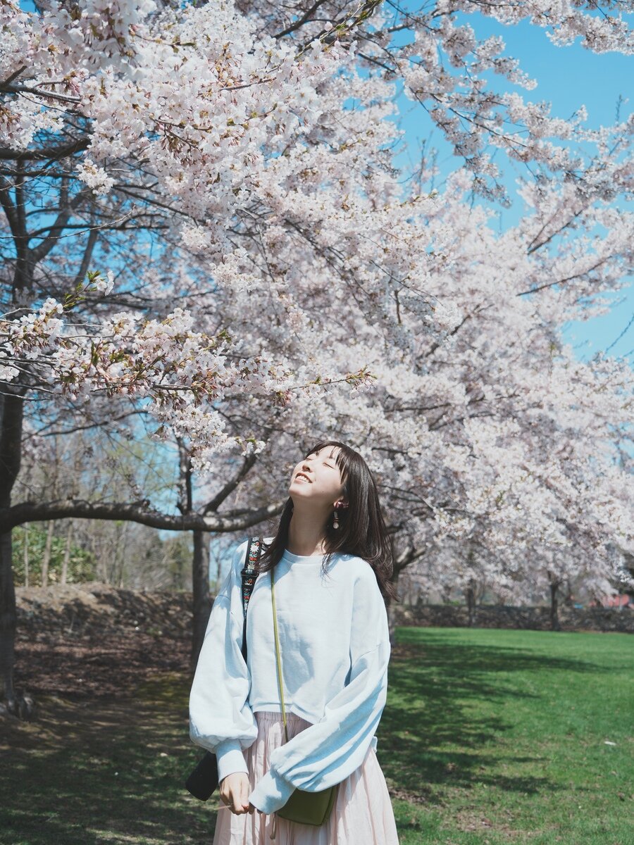余市桜⑨.jpg