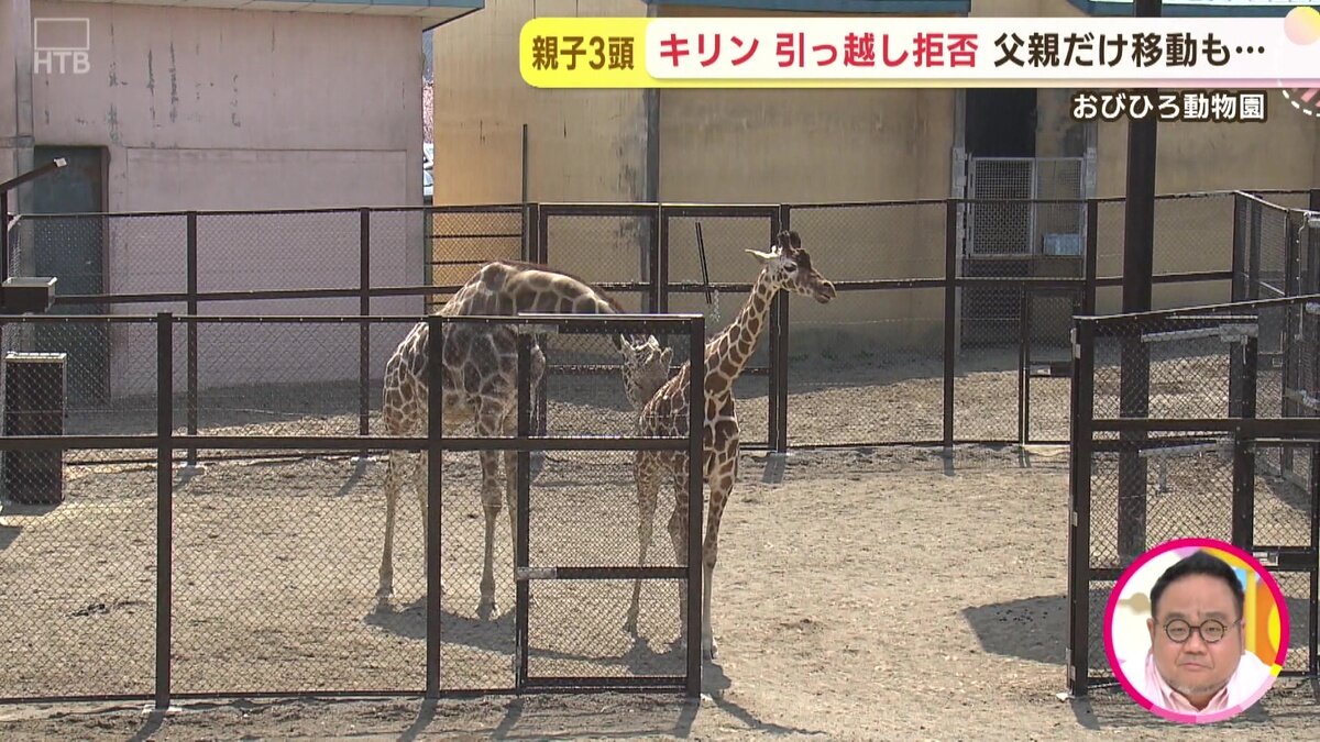 vlcsnap-2025-05-12-17h40m40s809.jpg