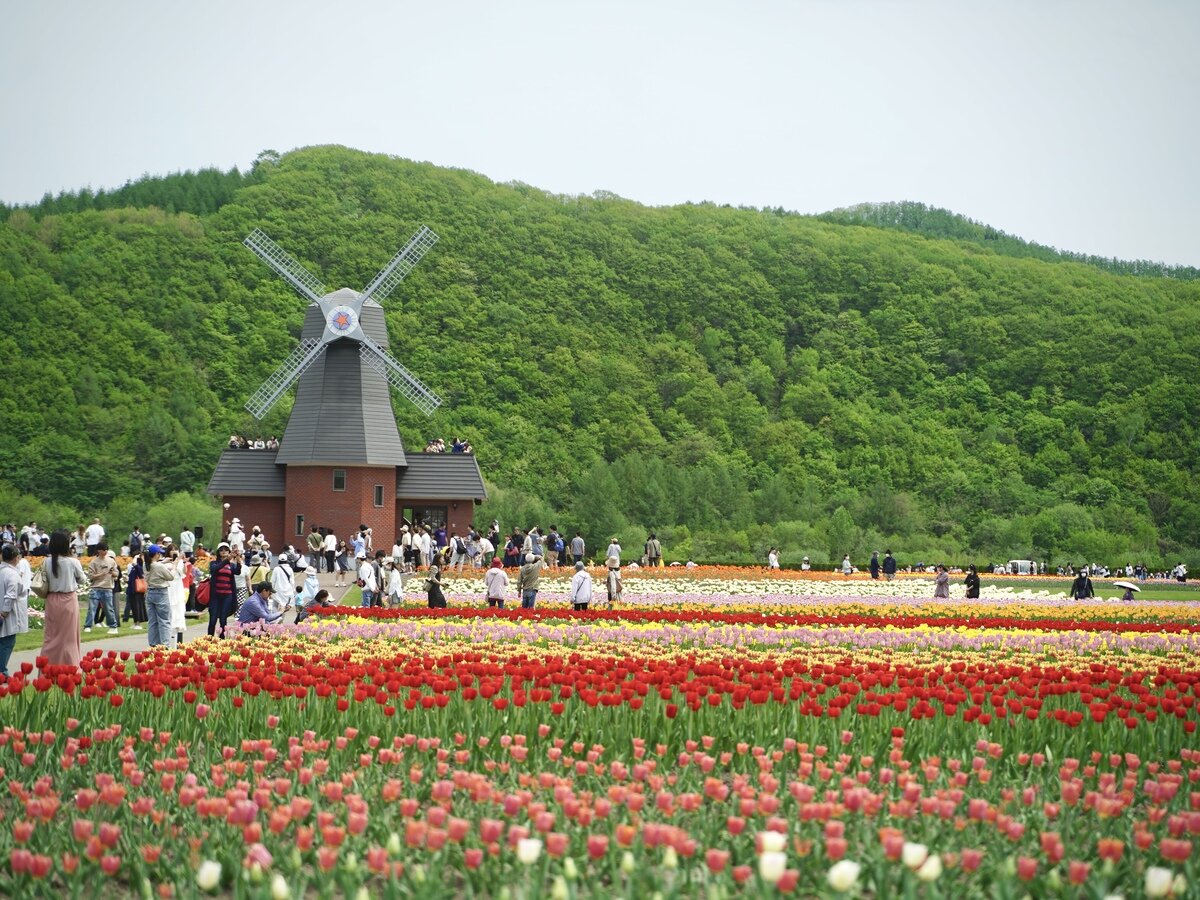 オホーツク①.JPG