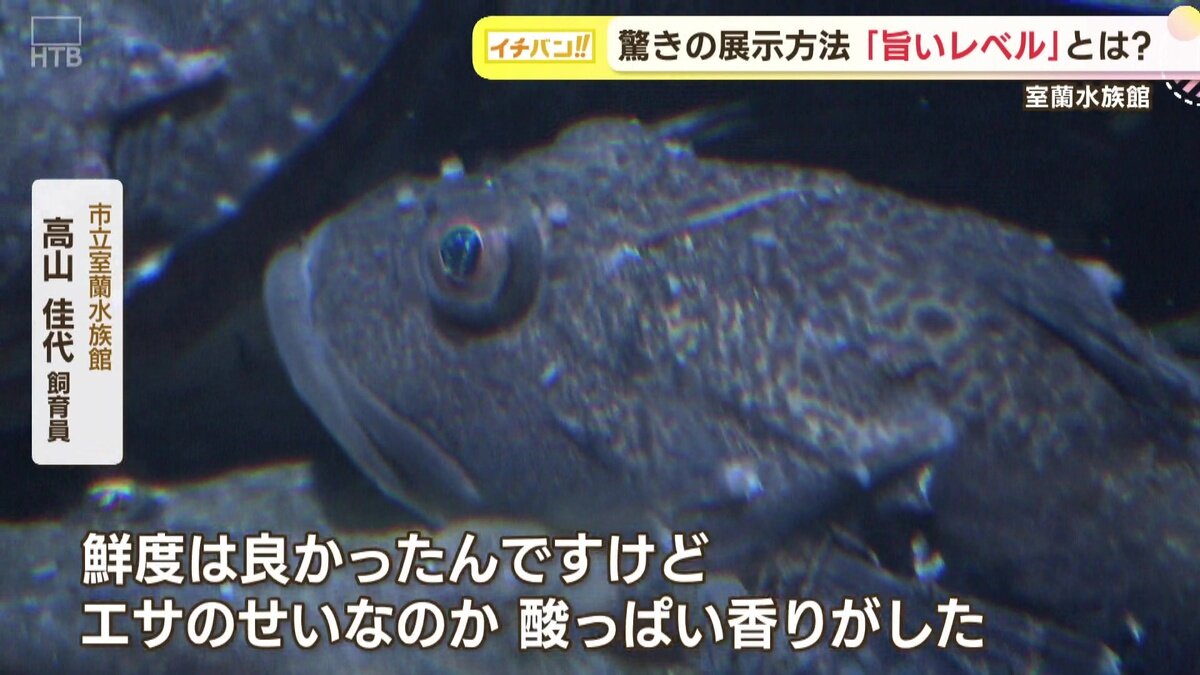 vlcsnap-2025-05-22-16h11m06s580.jpg