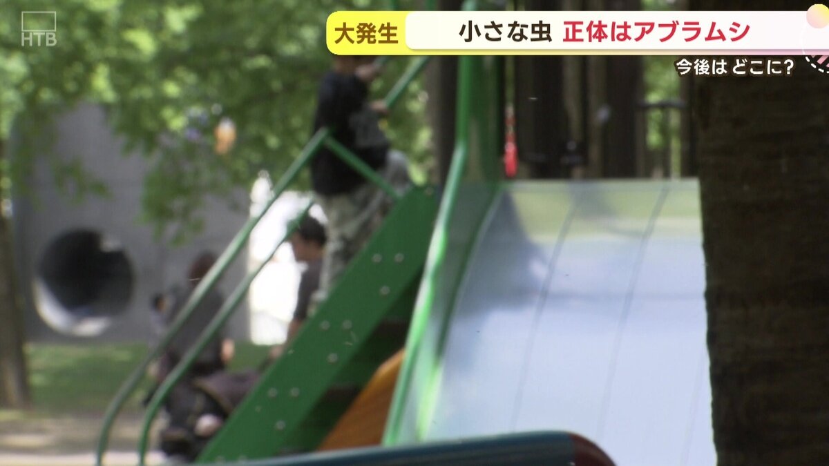vlcsnap-2025-05-23-15h21m09s275.jpg
