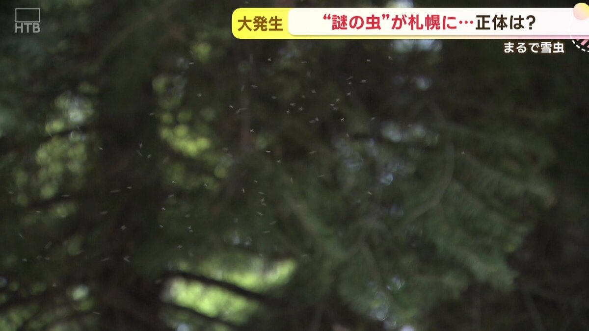 vlcsnap-2025-05-23-15h17m49s838.jpg