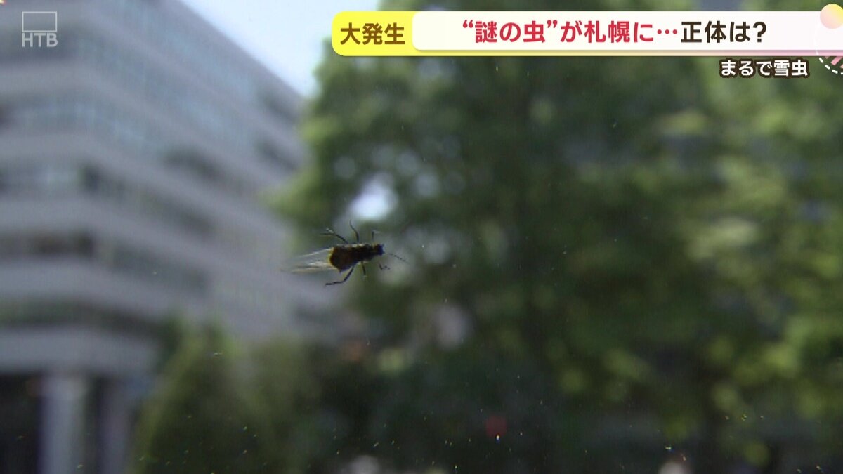 vlcsnap-2025-05-23-15h19m07s505.jpg