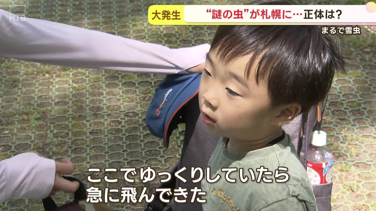 vlcsnap-2025-05-23-15h19m30s102.jpg