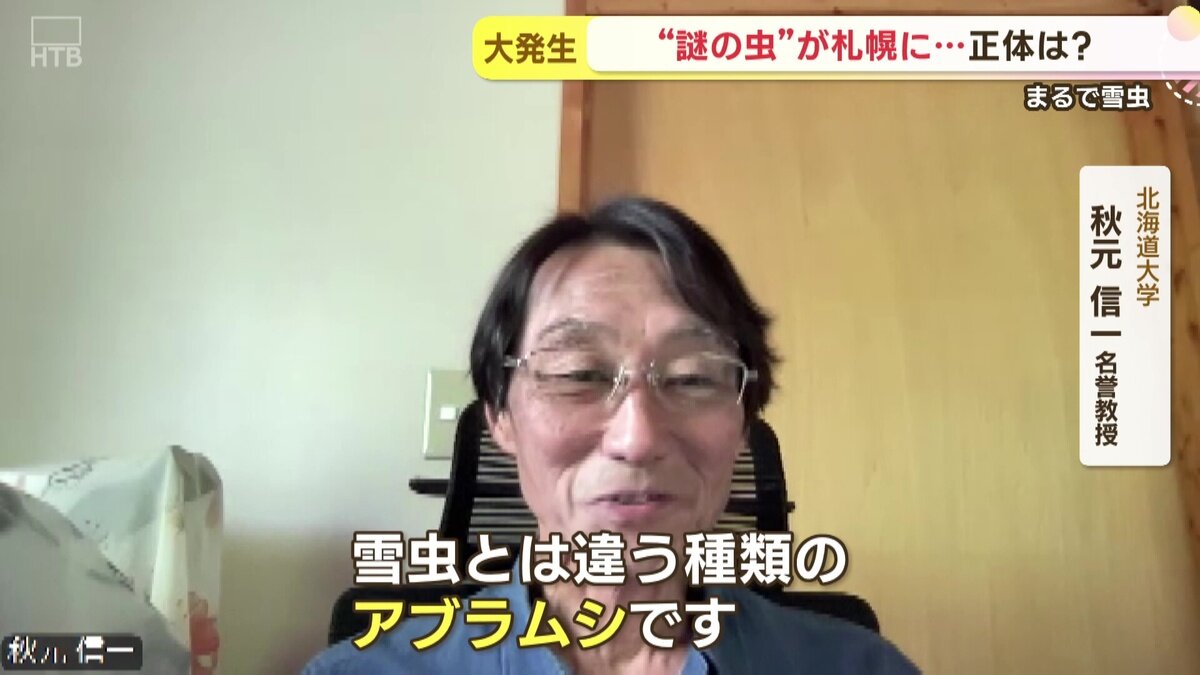 vlcsnap-2025-05-23-15h19m52s881.jpg