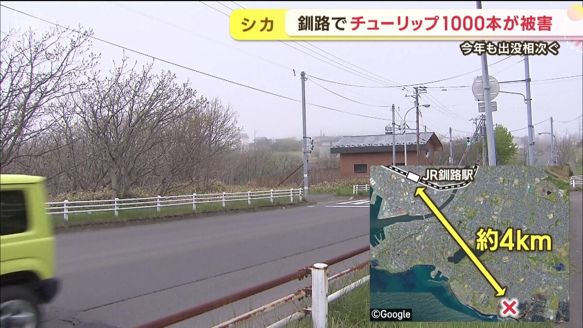 vlcsnap-2025-05-30-11h01m54s293.jpg