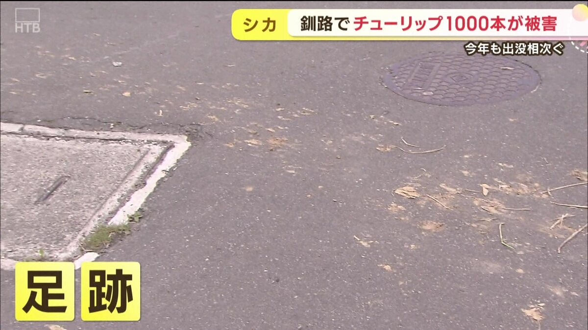 vlcsnap-2025-05-30-11h02m13s307.jpg