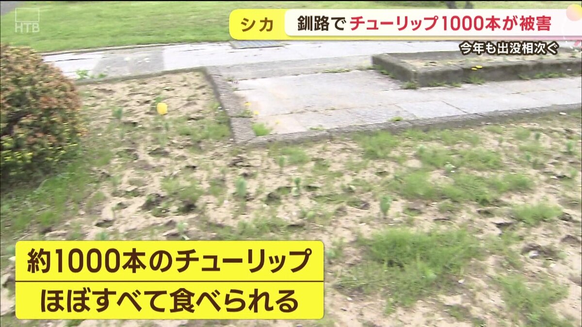 vlcsnap-2025-05-30-11h02m52s247.jpg