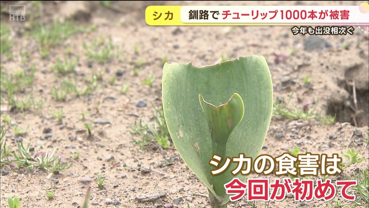vlcsnap-2025-05-30-11h03m00s674.jpg