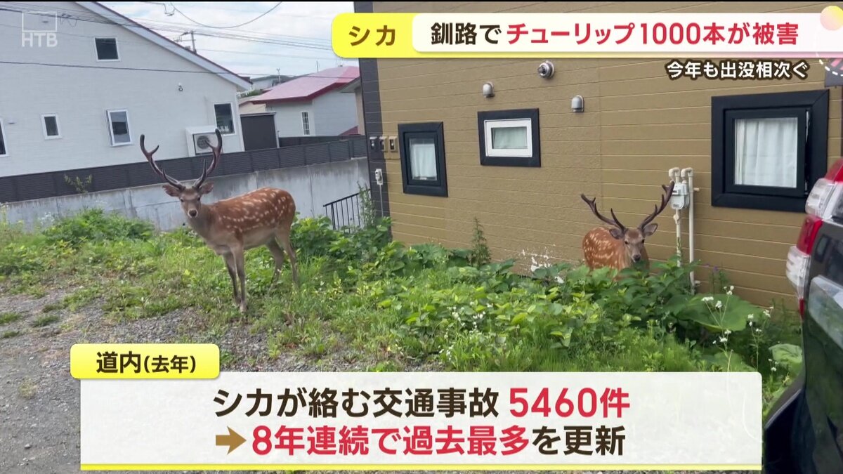 vlcsnap-2025-05-30-11h03m29s892.jpg