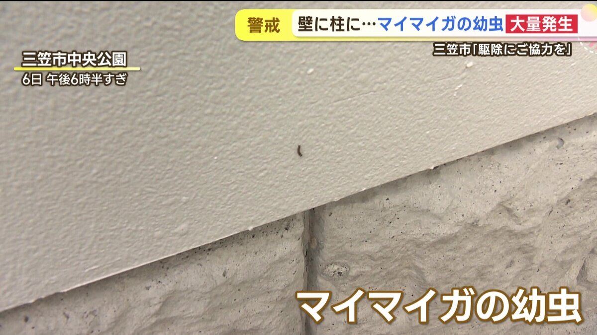 vlcsnap-2025-06-11-14h45m05s238.jpg