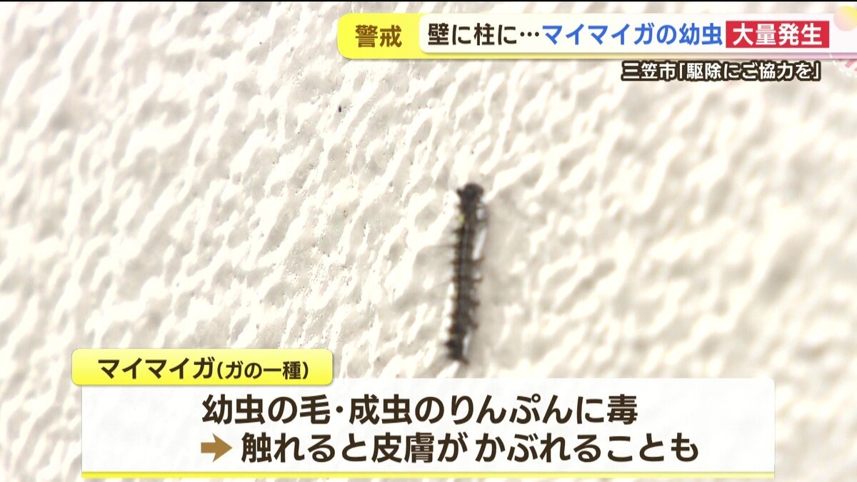 vlcsnap-2025-06-11-14h45m51s846.jpg