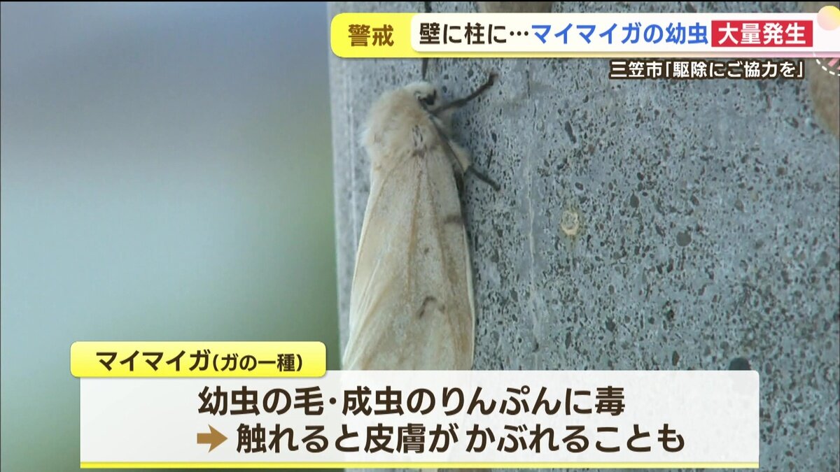 vlcsnap-2025-06-11-14h46m06s325.jpg