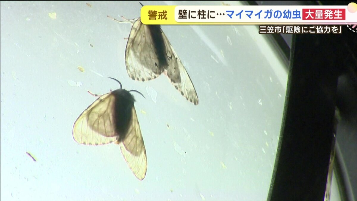 vlcsnap-2025-06-11-14h46m27s552.jpg