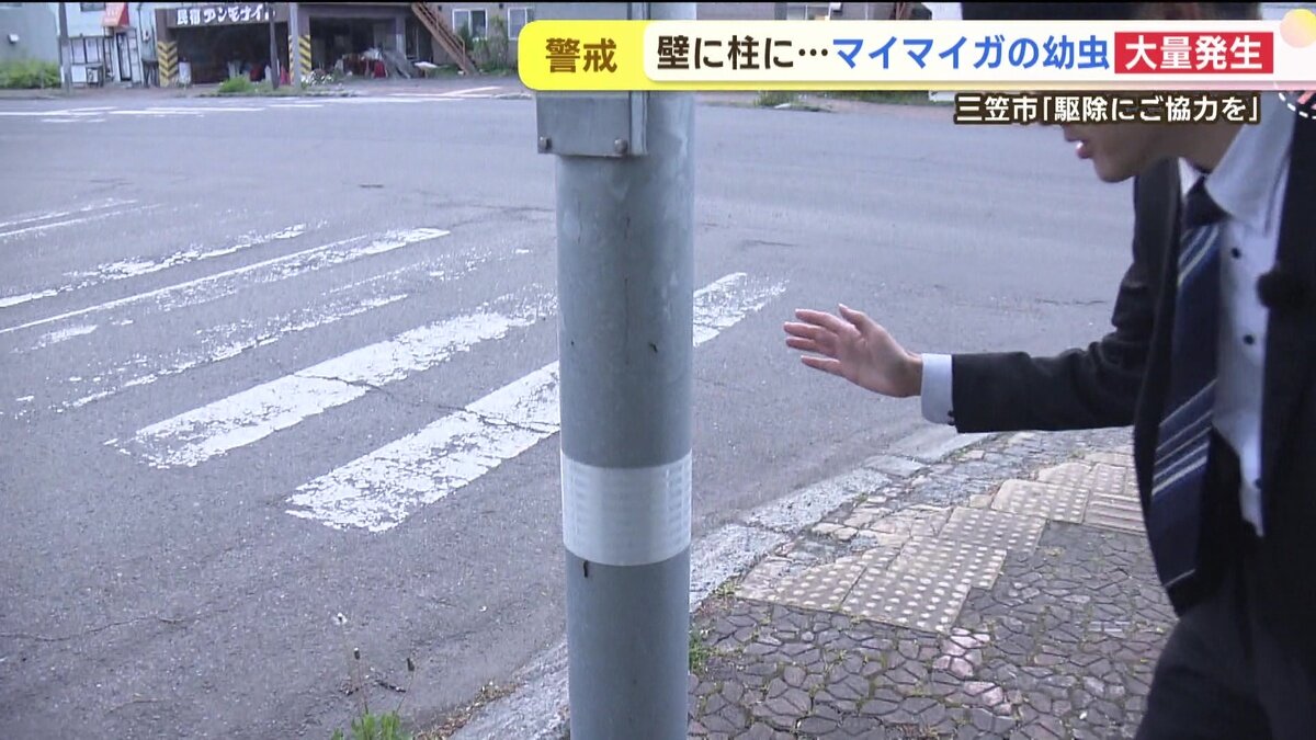 vlcsnap-2025-06-11-14h46m46s554.jpg
