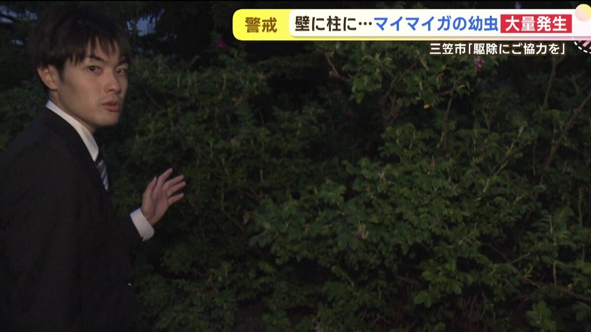 vlcsnap-2025-06-11-14h47m03s611.jpg