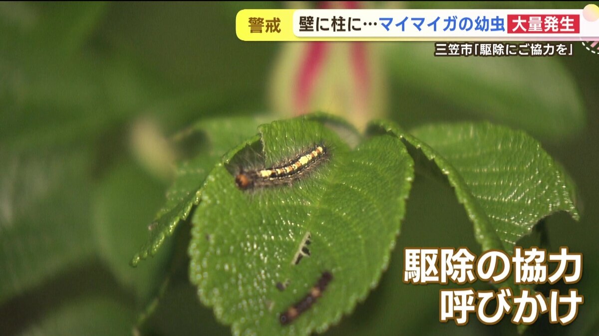 vlcsnap-2025-06-11-14h47m20s906.jpg