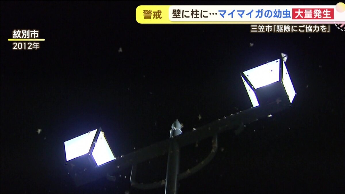 vlcsnap-2025-06-11-14h47m49s920.jpg