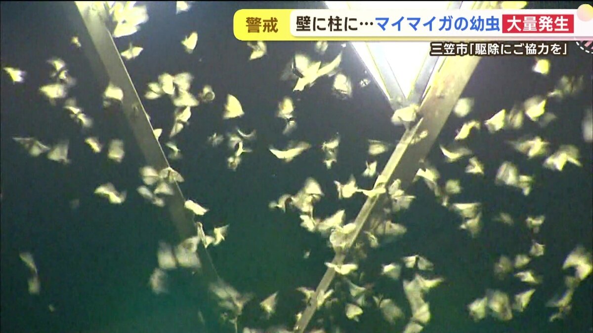 vlcsnap-2025-06-11-14h48m31s982.jpg