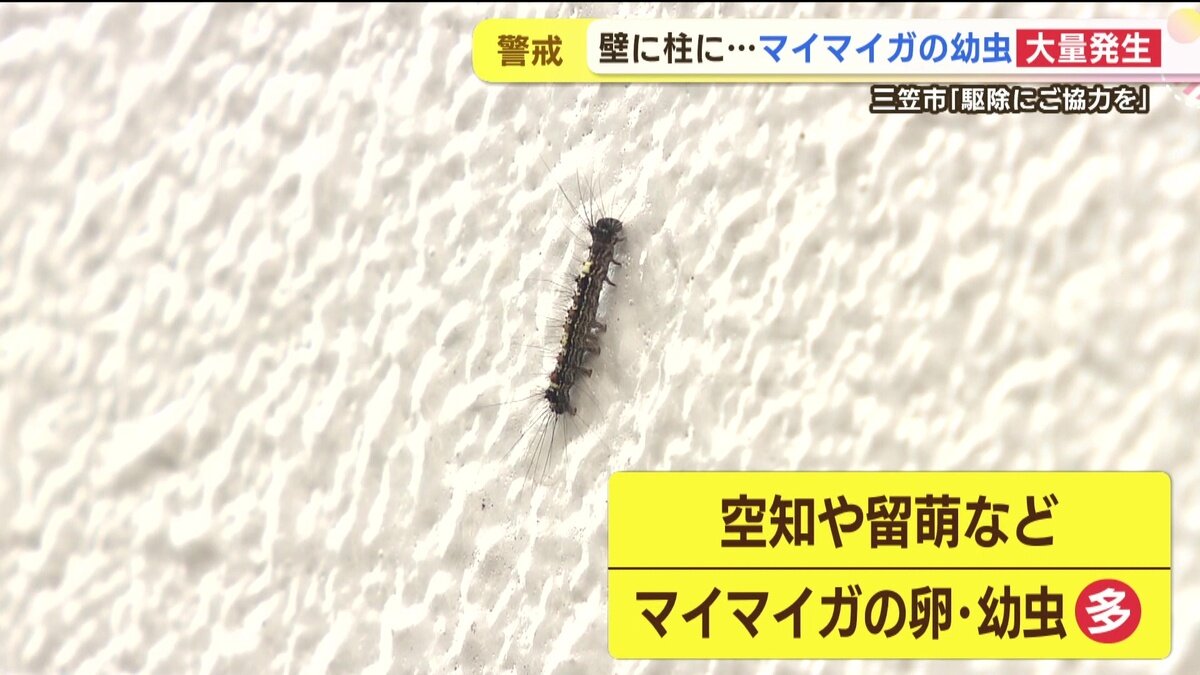 vlcsnap-2025-06-11-14h49m00s068.jpg