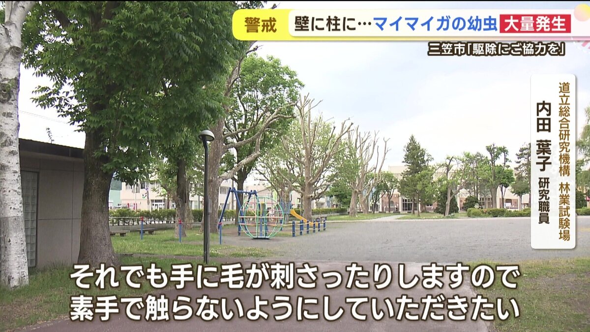 vlcsnap-2025-06-11-14h49m42s048.jpg