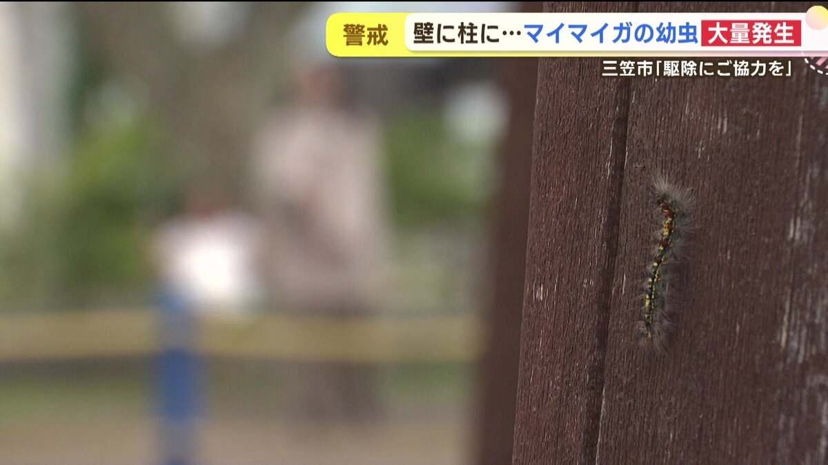 vlcsnap-2025-06-11-14h49m54s589.jpg