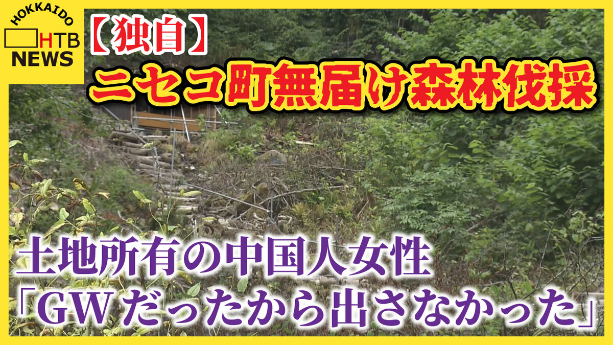 森の伐採。直径2メートル以下約70万円現金あげます。 SODANE - 【独自】ニセコ町でも森林伐採問題 中国人が代表の企業、無