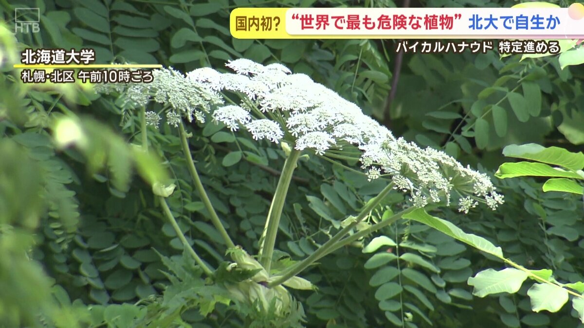 vlcsnap-2025-06-26-14h11m20s841.jpg