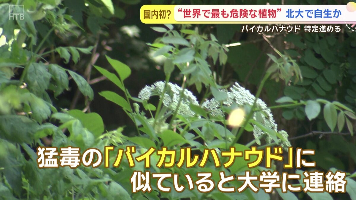 vlcsnap-2025-06-26-14h11m35s127.jpg