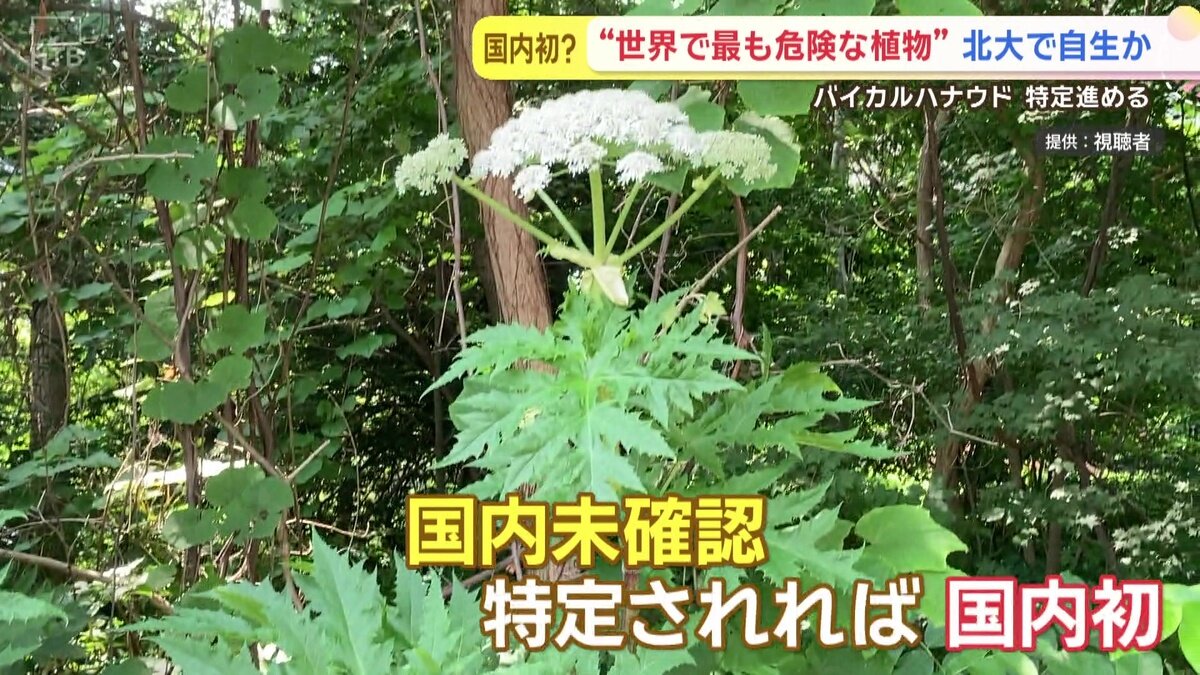 vlcsnap-2025-06-26-14h11m57s433.jpg