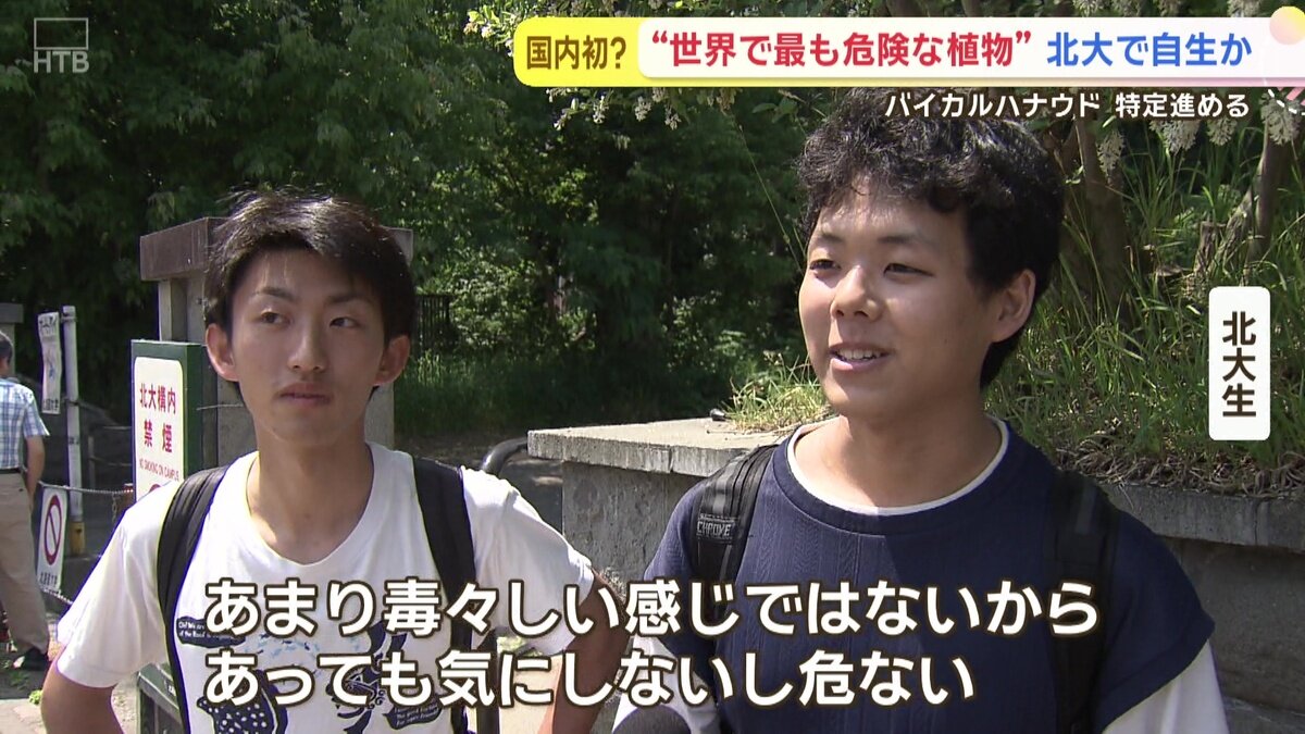 vlcsnap-2025-06-26-14h12m15s422.jpg